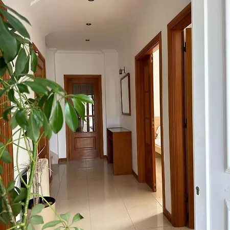 Ocean Baleal فيريل